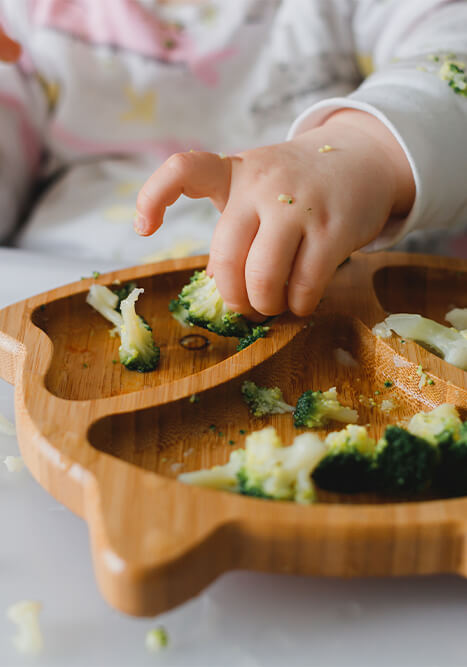 baby lernt essen mit brokkoli und blumenkohl selbstbestimmte kleinkindernaehrung